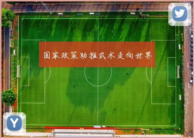 国家政策助推武术走向世界