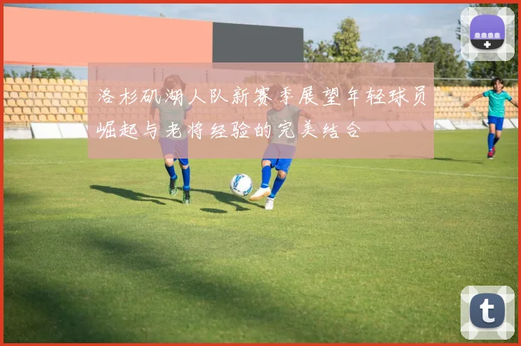 洛杉矶湖人队新赛季展望年轻球员崛起与老将经验的完美结合