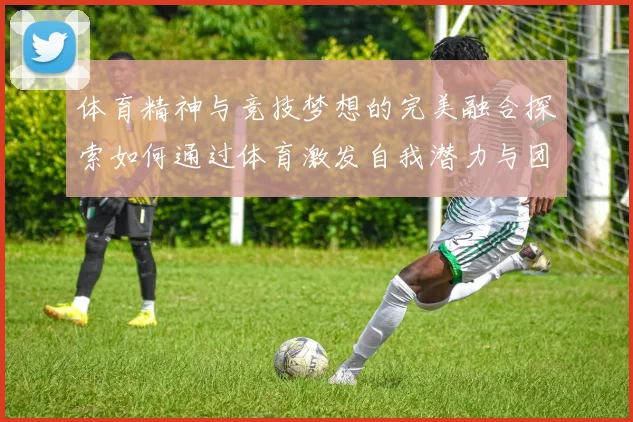 体育精神与竞技梦想的完美融合探索如何通过体育激发自我潜力与团队协作能力